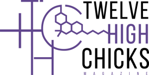 12HC Logo Purple